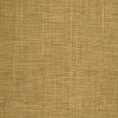 Robert Allen Desert Hill Bronze 236047 Natural Textures Collection Multipurpose Fabric