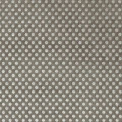 Duralee Taupe 36292-120 Decor Fabric