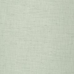 Robert Allen Peyton Dew 243297 Drapeable Tonal Textures Collection Multipurpose Fabric