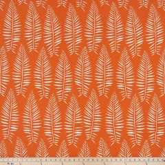 Premier Prints Breeze Marmalade / Polyester Boardwalk Outdoor Collection Indoor-Outdoor Upholstery Fabric