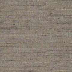Kravet Basics Grey 4319-21 Silken Textures Collection Drapery Fabric