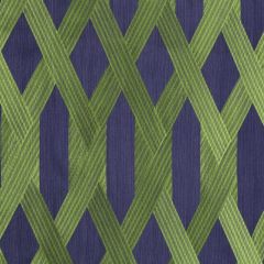 Robert Allen Energy Shift-Amazon 239856 Decor Multi-Purpose Fabric