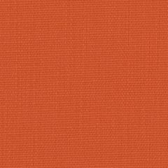 Perennials Rough 'n Rowdy Mandarin 955-167 Beyond the Bend Collection Upholstery Fabric