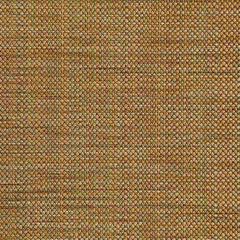 Robert Allen Ultimate Shade-Nugget 214686 Decor Upholstery Fabric