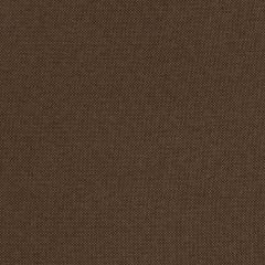 Robert Allen Contract Callisburg-Earth 224655 Decor Drapery Fabric