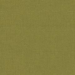 Kravet Basics Green 32324-303 Perfect Plains Collection Multipurpose Fabric