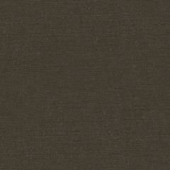 Kravet Versailles Brown E20504 Indoor Upholstery Fabric