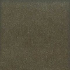 Stout Moore Shadow 8 Timeless Velvets Collection Indoor Upholstery Fabric