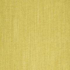 Robert Allen Open Plain Sunray 240921 Botanical Color Collection Indoor Upholstery Fabric