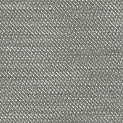 Perennials Nit Witty Nickel 930-296 Camp Wannagetaway Collection Upholstery Fabric