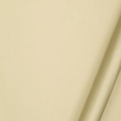 Robert Allen Treasure Beach Truffle 235172 Drapeable Silk Looks Collection Multipurpose Fabric