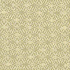 Clarke and Clarke Lunar Citron F1130-01 Equinox Collection Upholstery Fabric