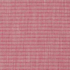 Robert Allen Balance Cassis 247309 Drenched Color Collection Indoor Upholstery Fabric