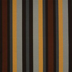 Robert Allen New Stripe Truffle 222271 Multipurpose Fabric