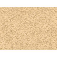 Kravet Smart Weaves Forecast Alabaster 26205-16 Indoor Upholstery Fabric