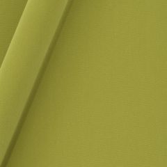 Robert Allen Forever Velvet Spring Grass 245477 Durable Velvets Collection Indoor Upholstery Fabric
