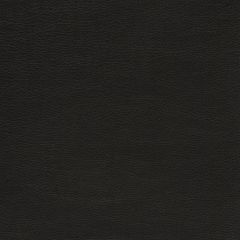 Mayer Caressa Black Ca-006 Upholstery Fabric