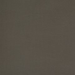 Mayer Caressa Granite Ca-026 Upholstery Fabric