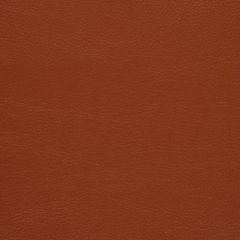 Mayer Caressa Rawhide Ca-070 Upholstery Fabric