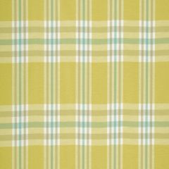 Robert Allen Plenty Plaid Sunray 241112 Botanical Color Collection Indoor Upholstery Fabric