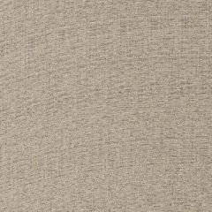 Robert Allen Easy Chenille Mineral Performance Chenille Collection Indoor Upholstery Fabric