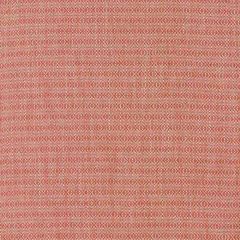 Robert Allen Balance Henna 247314 Drenched Color Collection Indoor Upholstery Fabric