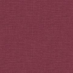 ABBEYSHEA Exuberance 15 Fuchsia Indoor Upholstery Fabric
