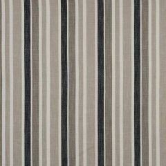 Robert Allen Striped Lines Greystone 221287 Color Library Collection Multipurpose Fabric
