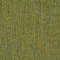 Duralee Contract Basil DN16333-354 Crypton Woven Jacquards Collection Indoor Upholstery Fabric