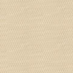 Kravet Contract Beige 4149-16 Wide Illusions Collection Drapery Fabric