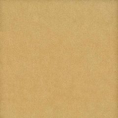 Stout Moore Champagne 5 Timeless Velvets Collection Indoor Upholstery Fabric