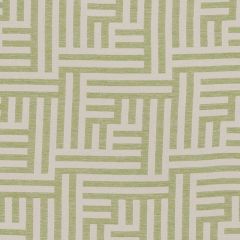 Duralee Facade Peridot DU16348-579 Pavilion VII Bella-Dura Indoor/Outdoor Wovens Collection Upholstery Fabric