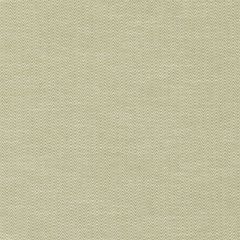 Duralee Celery 36233-533 Decor Fabric