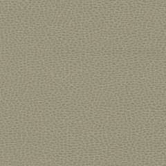 F. Schumacher Promessa Taupe 363-3463 Ultraleather Collection