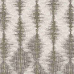 Robert Allen Counting Rows Truffle 509464 Epicurean Collection Indoor Upholstery Fabric