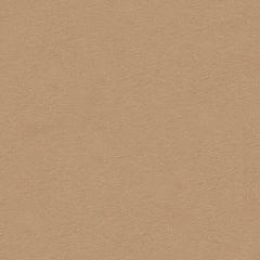 Kravet Ultrasuede Green Wheat 30787-1166 Indoor Upholstery Fabric