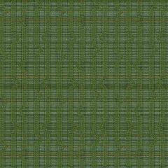 Mayer Longitude Grass 455-003 Hemisphere Collection Indoor Upholstery Fabric