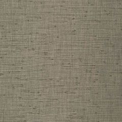 Robert Allen Peyton Greystone 243287 Drapeable Tonal Textures Collection Multipurpose Fabric