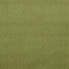 Clarke and Clarke Loreto Olive F0968-06 Lustro Collection Multipurpose Fabric