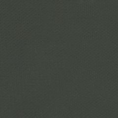 Patio Lane Air 908 Charcoal Interior Contract Upholstery Fabric
