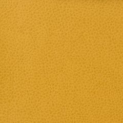 Kravet Matter Yellow 414 Indoor Upholstery Fabric