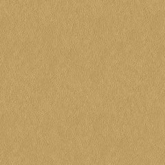 Kravet Contract Balara Gold 4 Faux Leather Indoor Upholstery Fabric