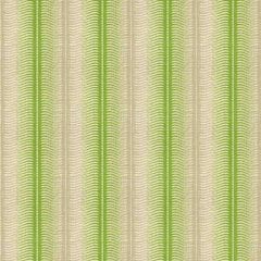 Lee Jofa Modern Stripes Meadow GWF-3509-3 Garden Collection by Allegra Hicks Multipurpose Fabric