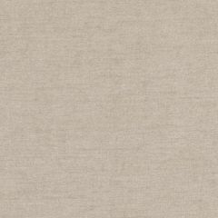 Duralee Chinchilla 36273-319 Decor Fabric