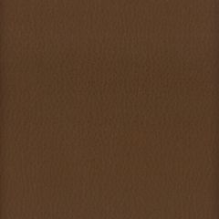 Stout Lodge Java 14 Leather Looks III Performance Collection Indoor Upholstery Fabric