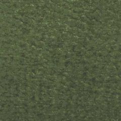 Duralee Moss 71069-257 Decor Fabric