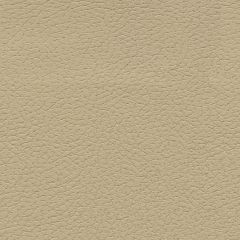 F. Schumacher Brisa Desert Clay 303-3864 Ultraleather Collection