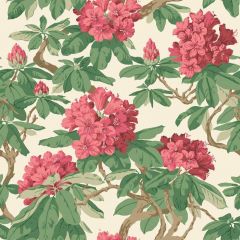 Cole and Son Bourlie Carmine 99-4019 Wall Covering