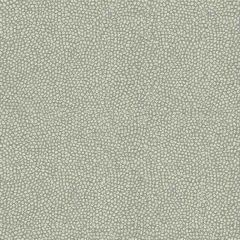 Kravet Brecken Vapor 34126-511 by Candice Olson Indoor Upholstery Fabric