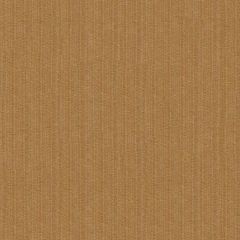 Kravet Contract Strie Velvet 33353-1616 Guaranteed in Stock Indoor Upholstery Fabric